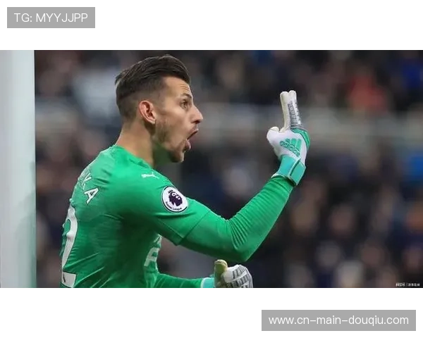 英超门将表现抢眼，杜布拉夫卡8扑救创纪录
